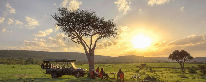 Safari och yoga