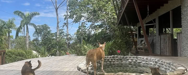 Casa Nautika Retreat Center