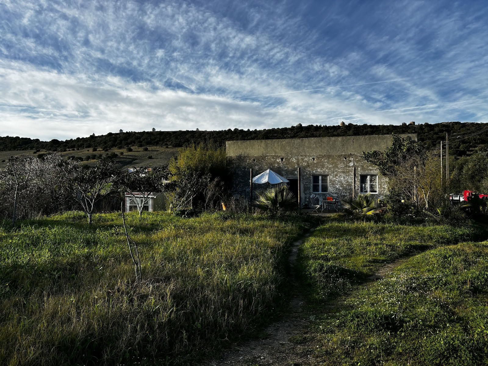 SerVivo, Kooperativet SVDH
