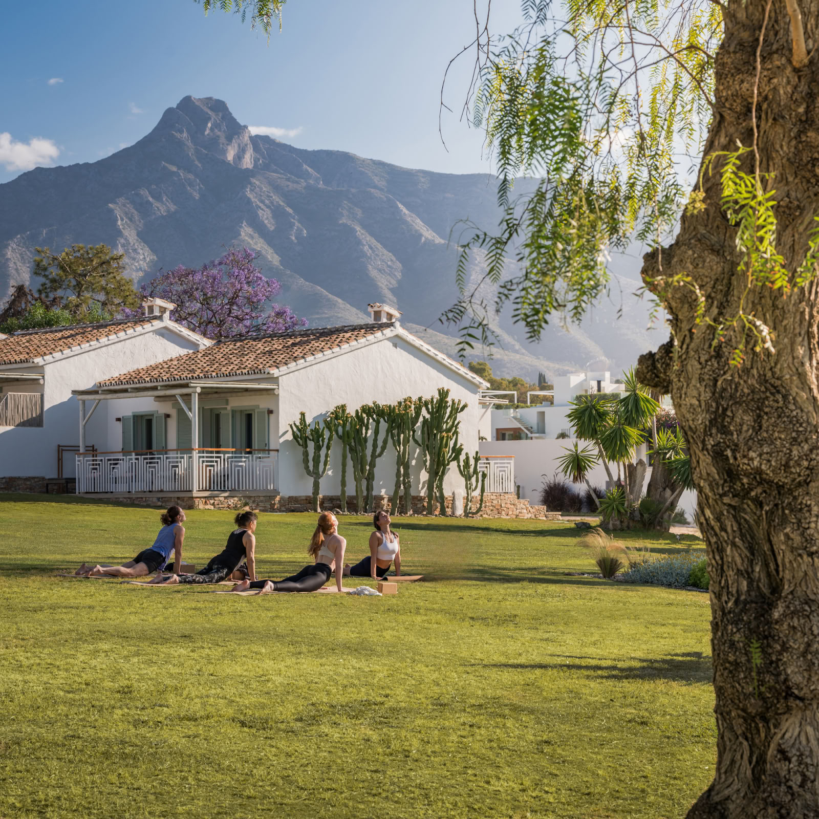 Boho Wellness · Hälsa & Retreats
