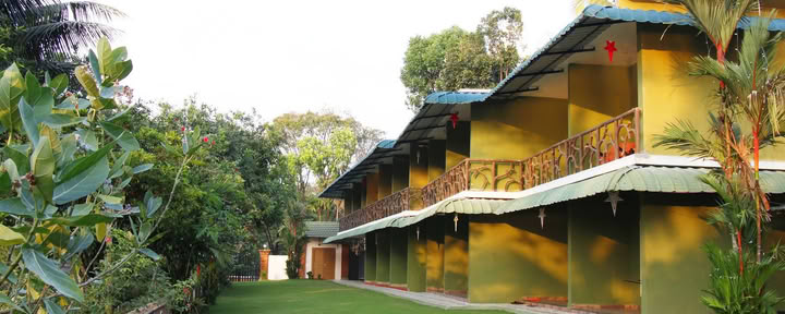 Elephant Pass Ayurveda- och yogaretreat | Resort Kerala