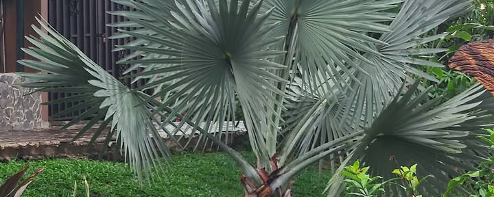 Villa Inti Wasi
