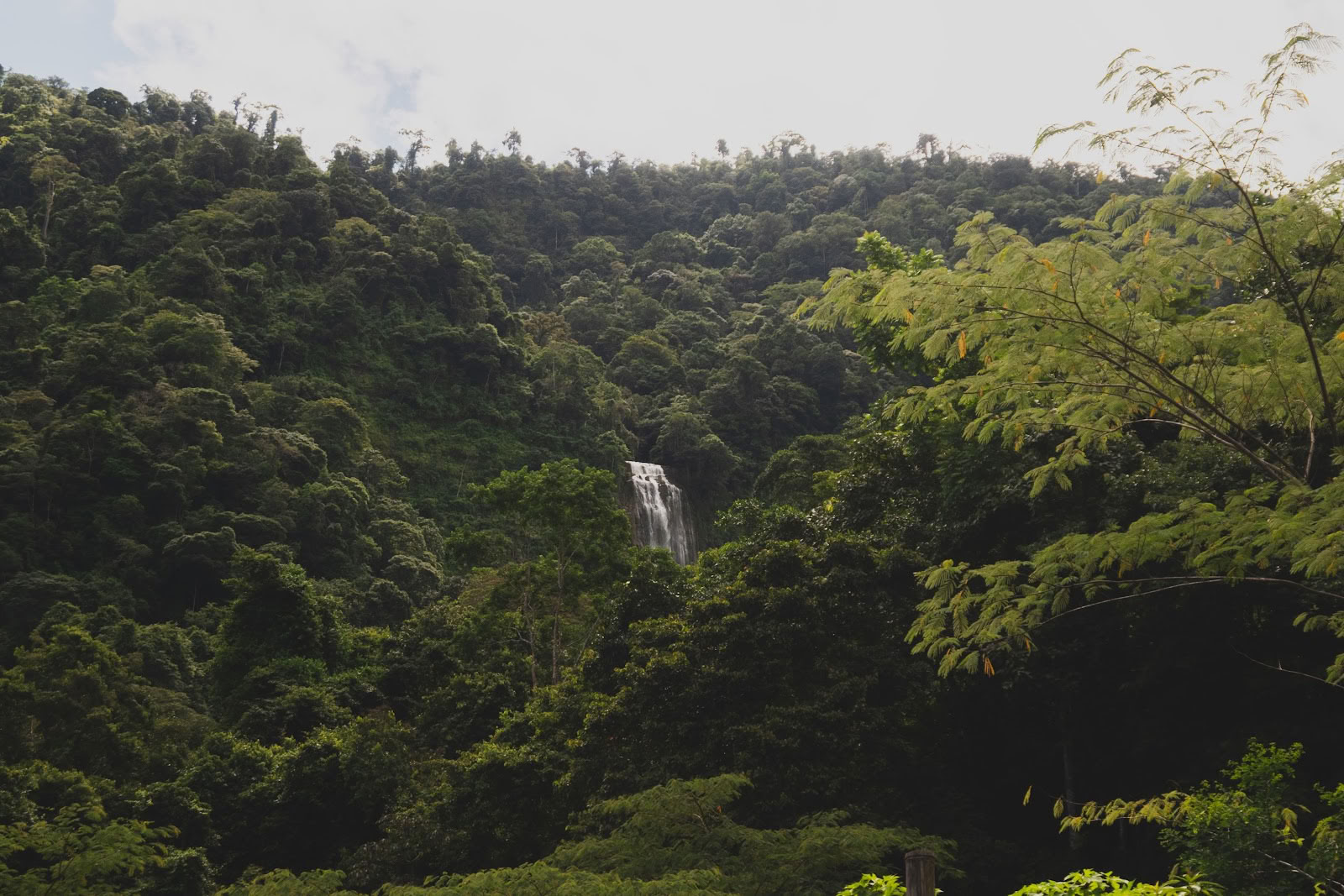 Finca Shambhala Ekologisk
