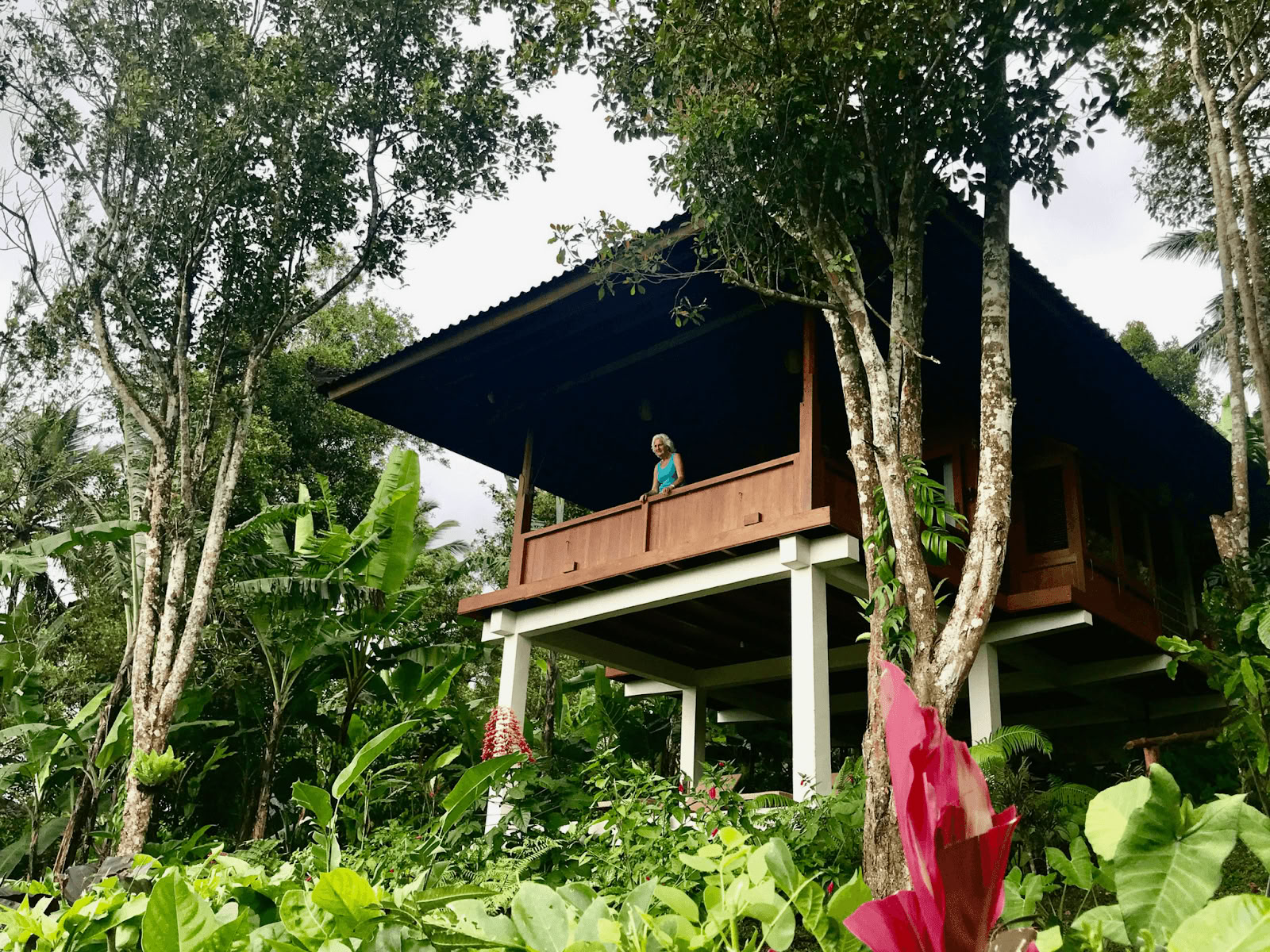 Kryddnejliketrädskullen - Bali ekoresort
