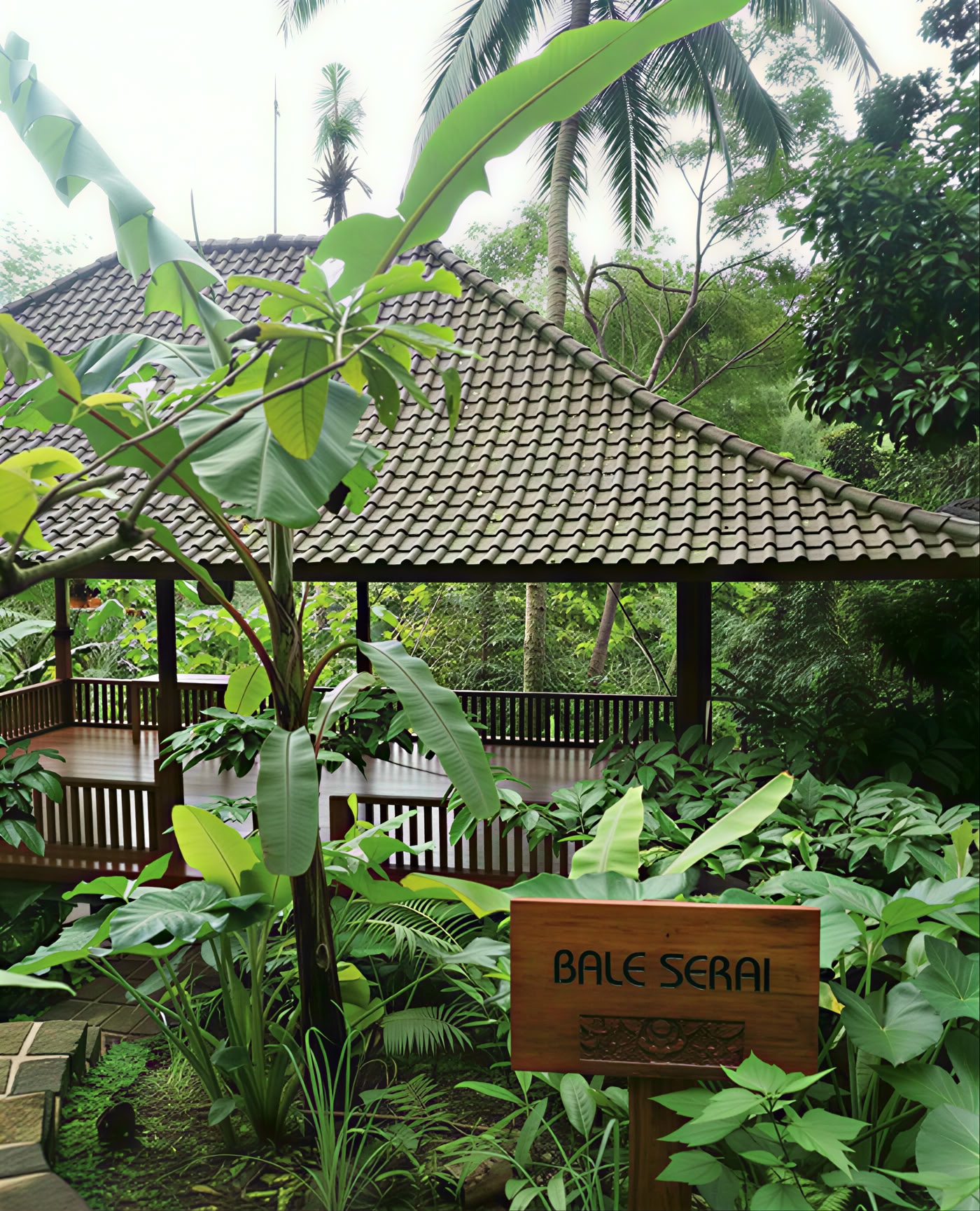 Kryddnejliketrädskullen - Bali ekoresort