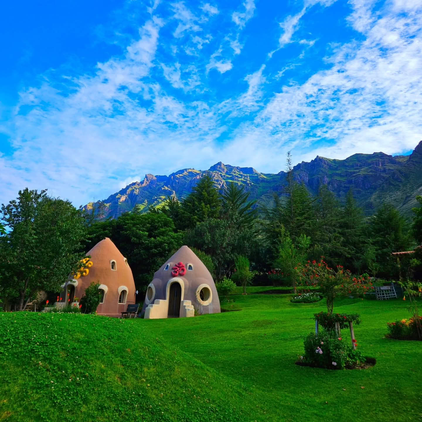 Heliga Dalens Stam | Ayahuasca House