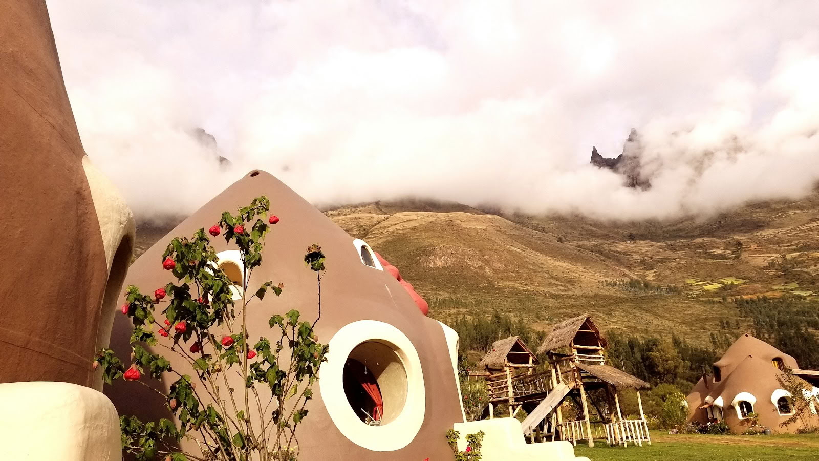 Heliga Dalens Stam | Ayahuasca House