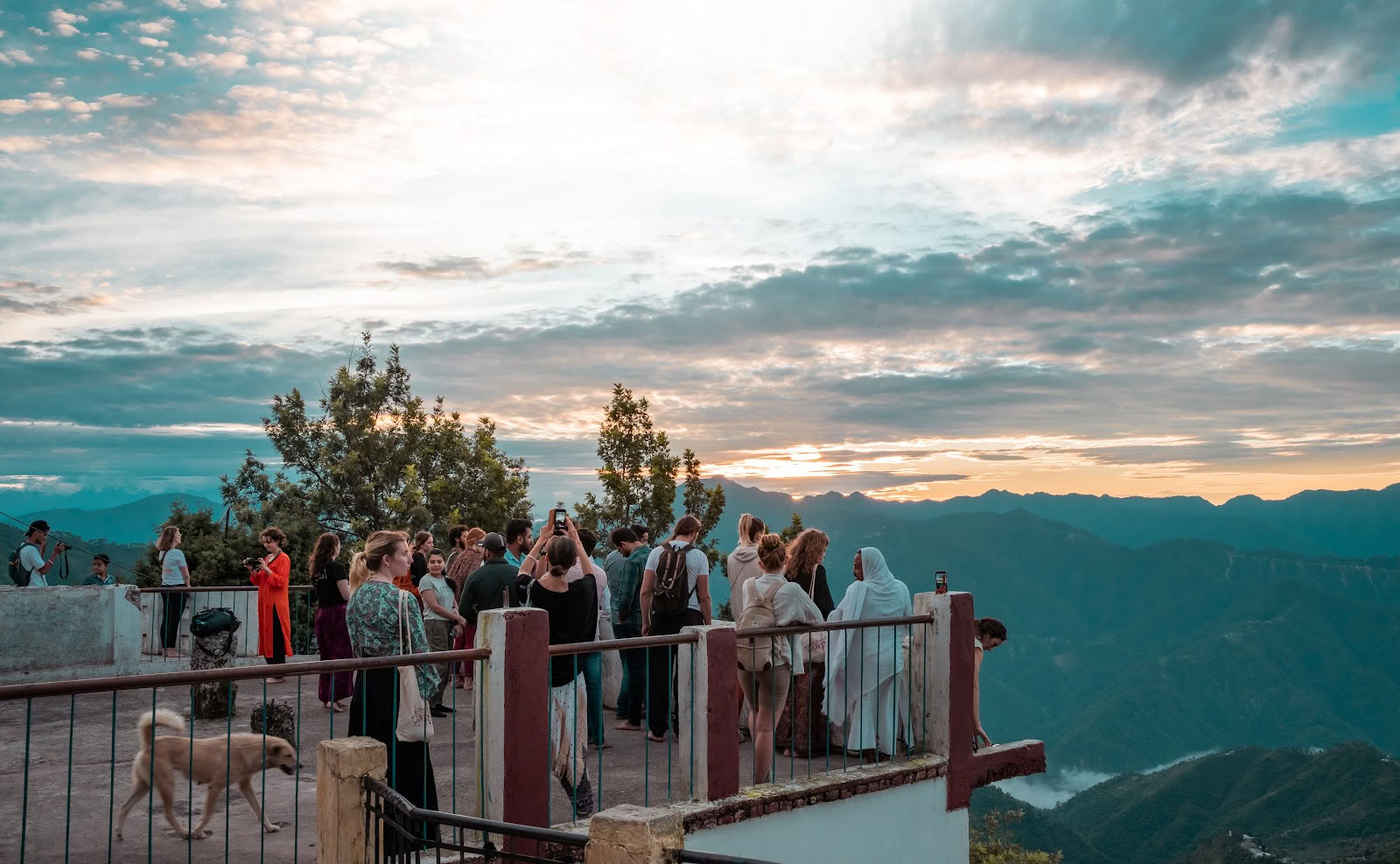Samadhi Yoga Ashram – Bästa yogaskolan i Rishikesh, Indien