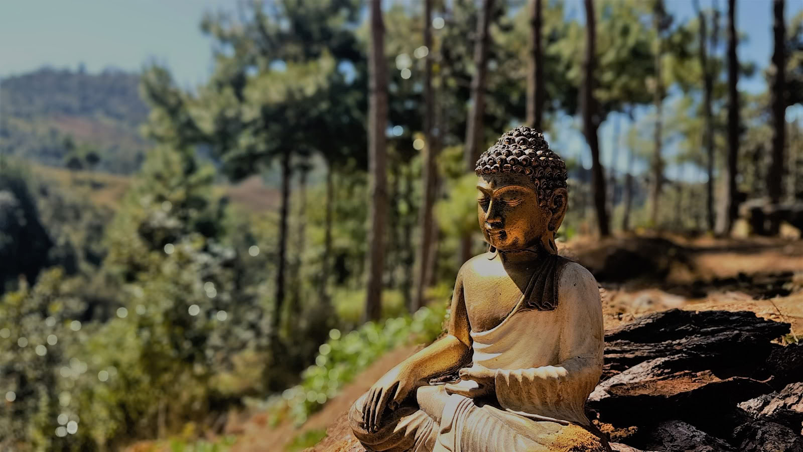 Hridaya familje-meditations- och yogaretreatcenter