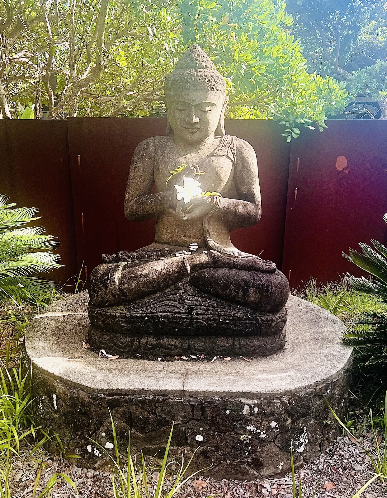 Retreater i Byron Bay