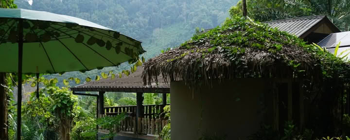 Eco-Logic Thailand