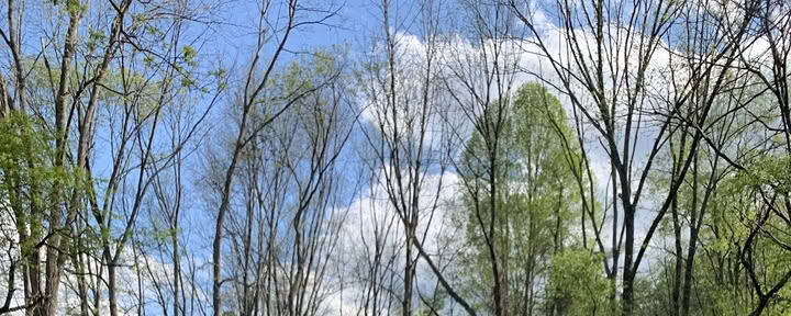 Anahata Utbildnings- och Retreatcenter