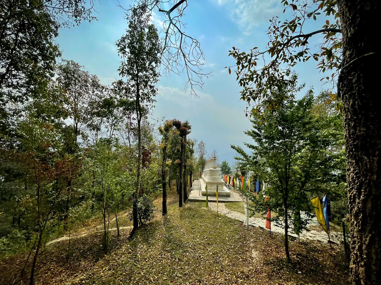 Buddha Pada Center