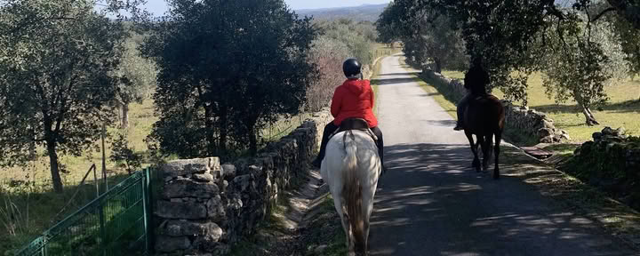 Marvão Hästar