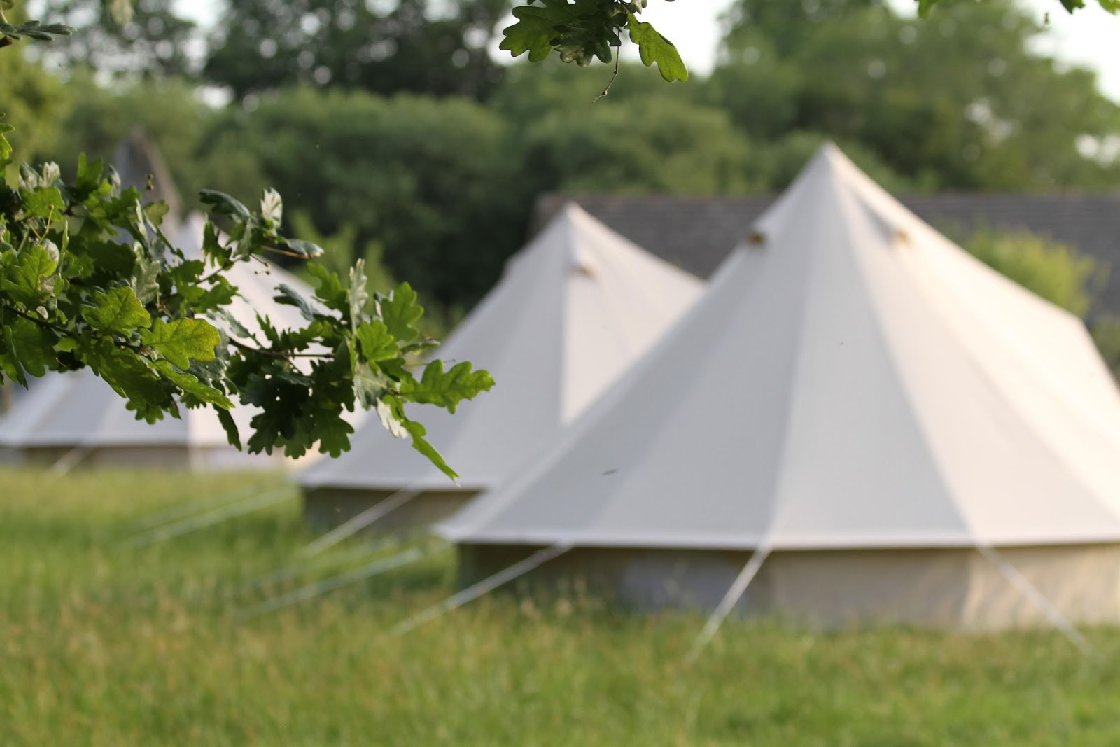 Enwild Retreat