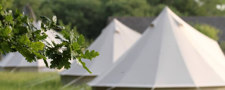 Enwild Retreat