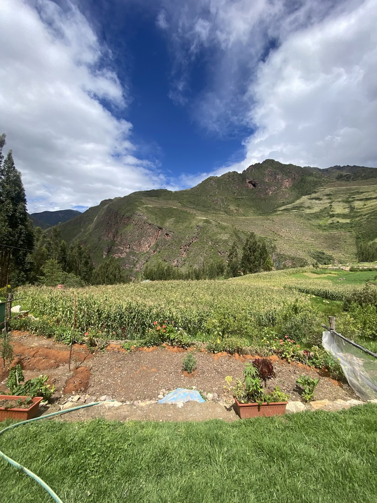Ayahuasca Spirituellt Center Cusco