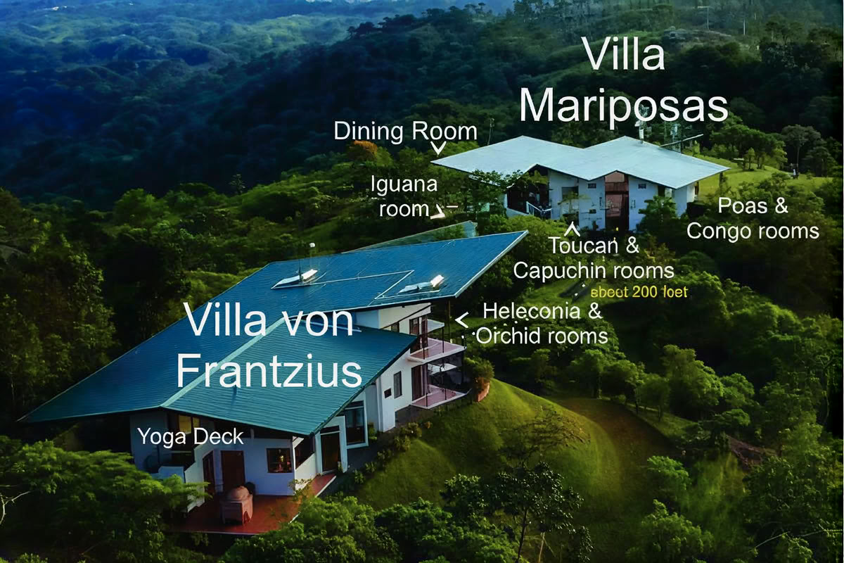 Finca 360