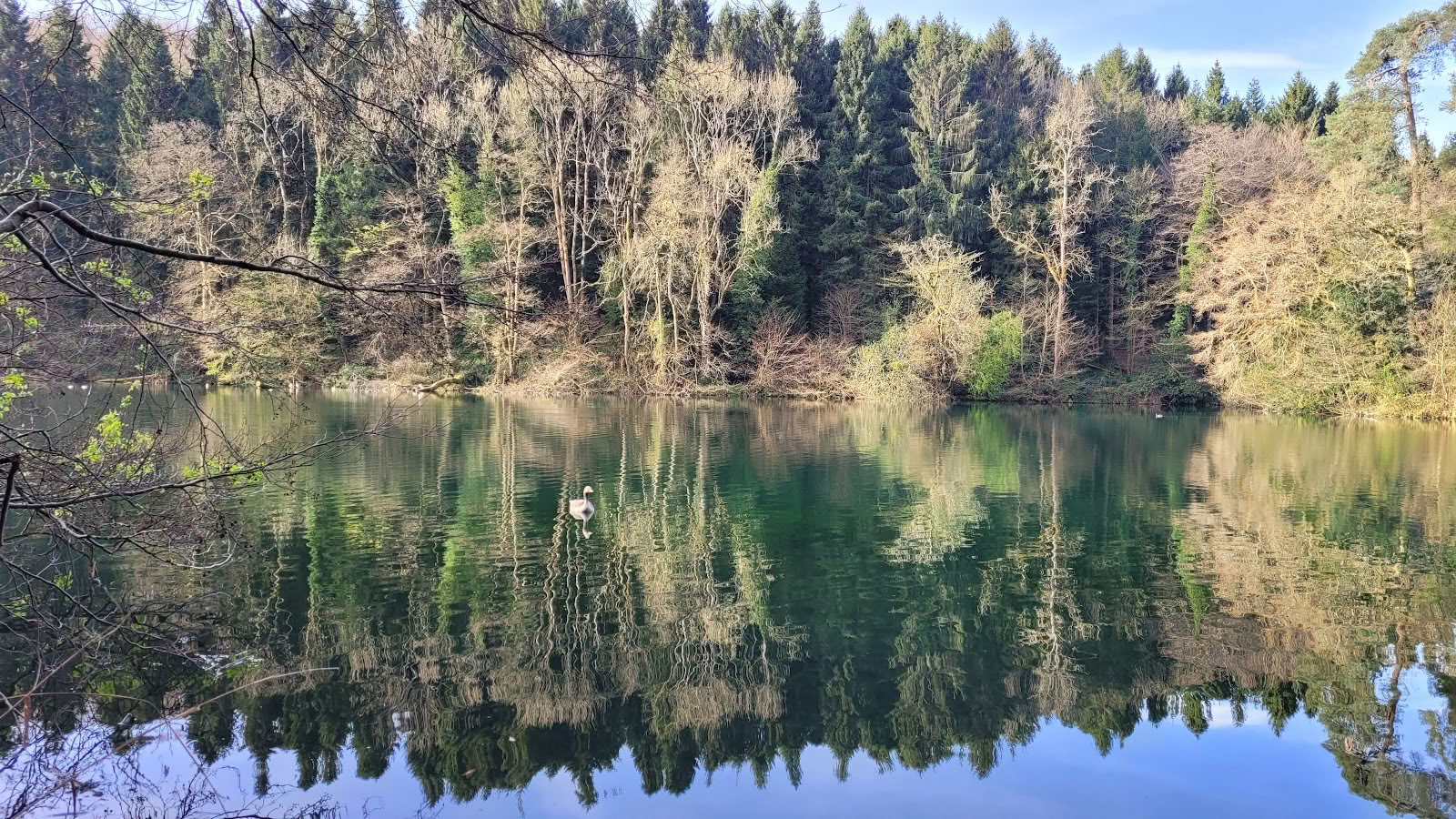 SoulSimple Cotswolds-retreater och naturspa