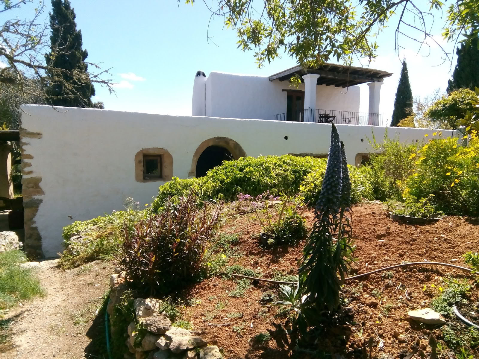 Ibiza Moving Arts