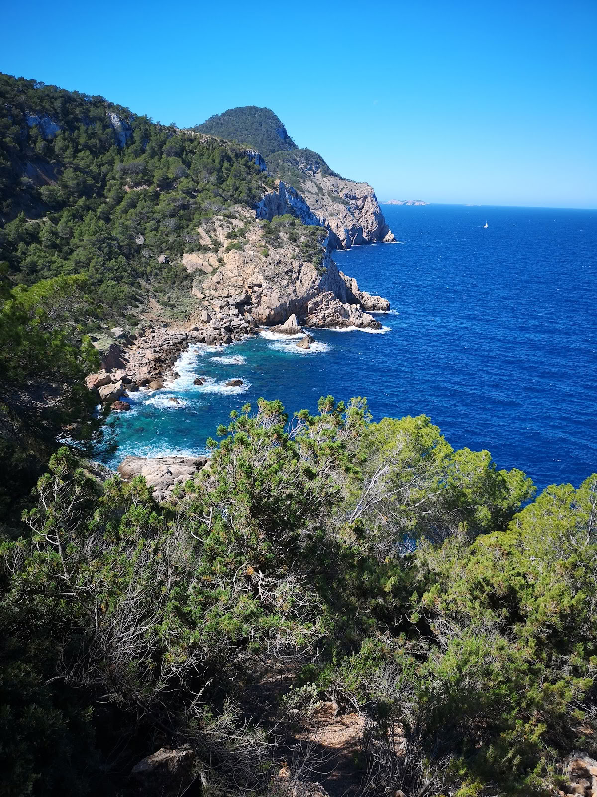 Ibiza Moving Arts