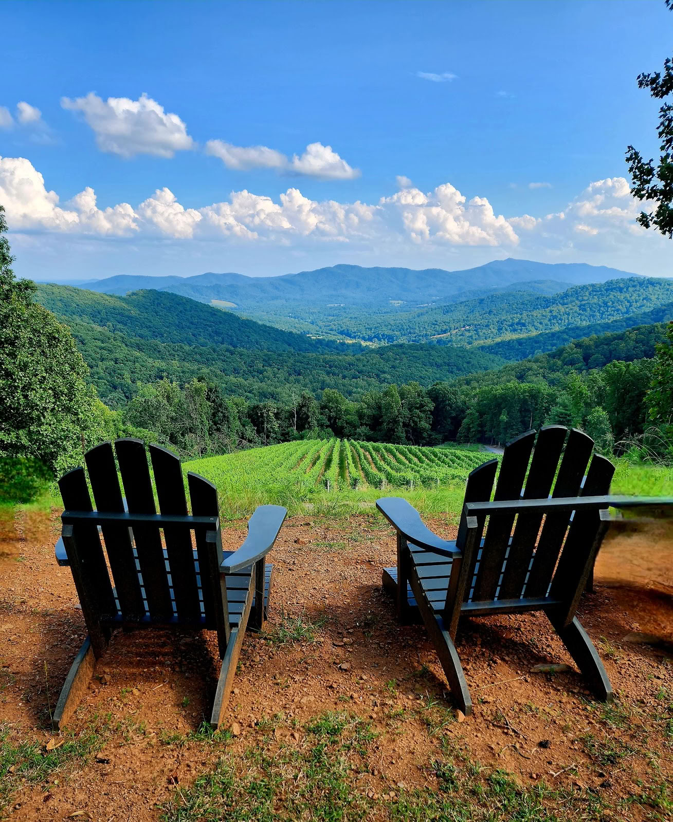 Ankida Ridge Vineyards