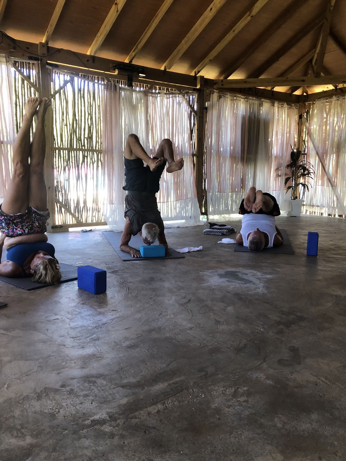 Wise Wellness - Yoga Center / Dagsspa och iTal Mama veganska café