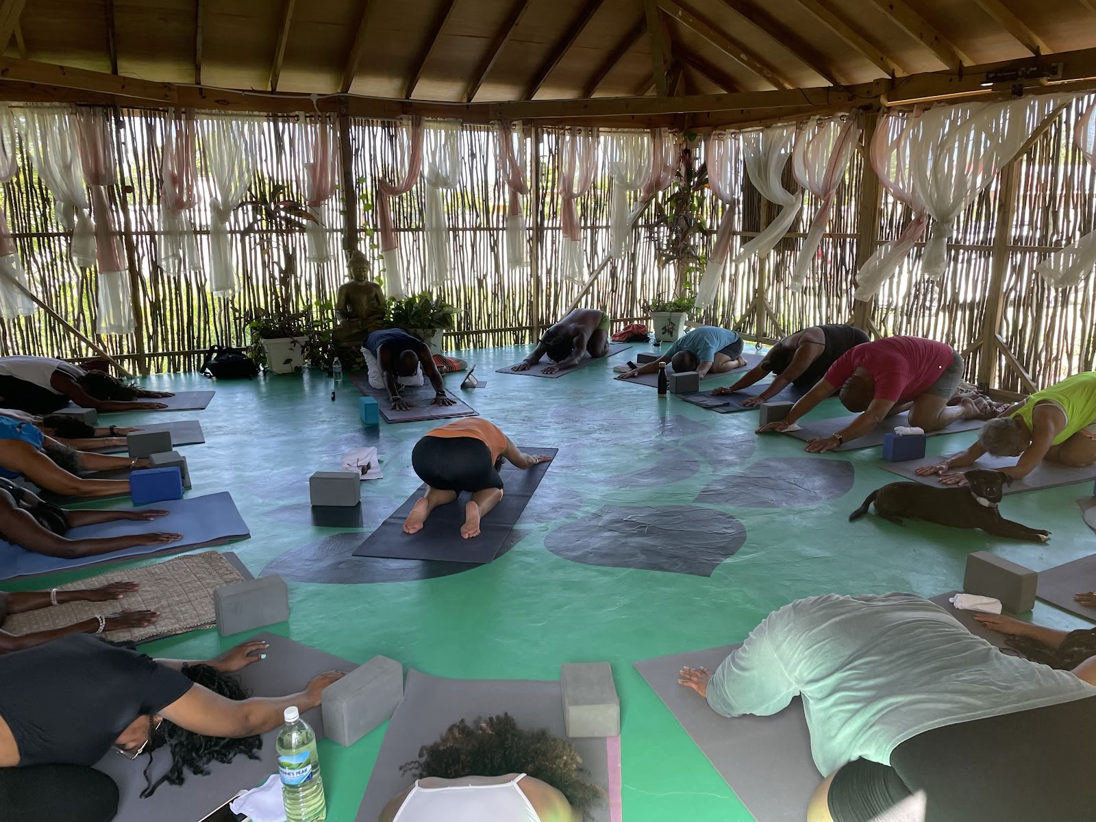 Wise Wellness - Yoga Center / Dagsspa och iTal Mama veganska café