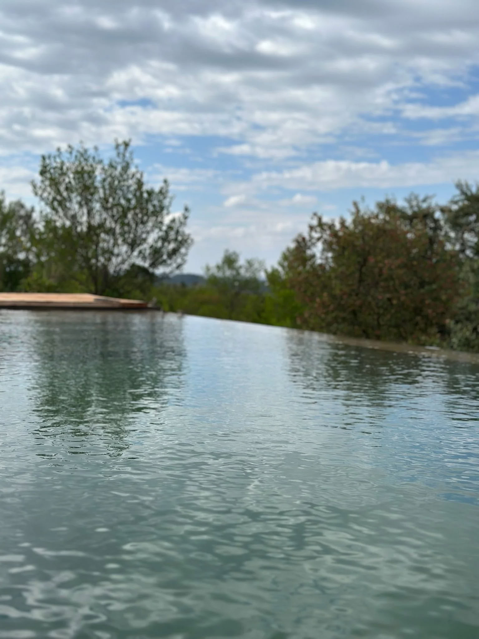 Kilima Gardens