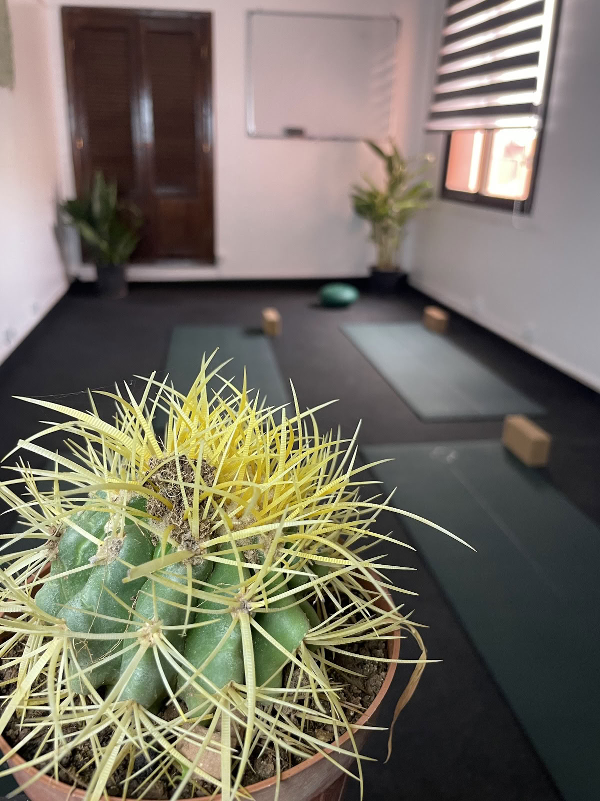 Kioze - Yoga i Marrakech, yogastudio för kvinnor, pilates i Marrakech, orientalisk dans, boxning för kvinnor, yogakurser i Marrakech
