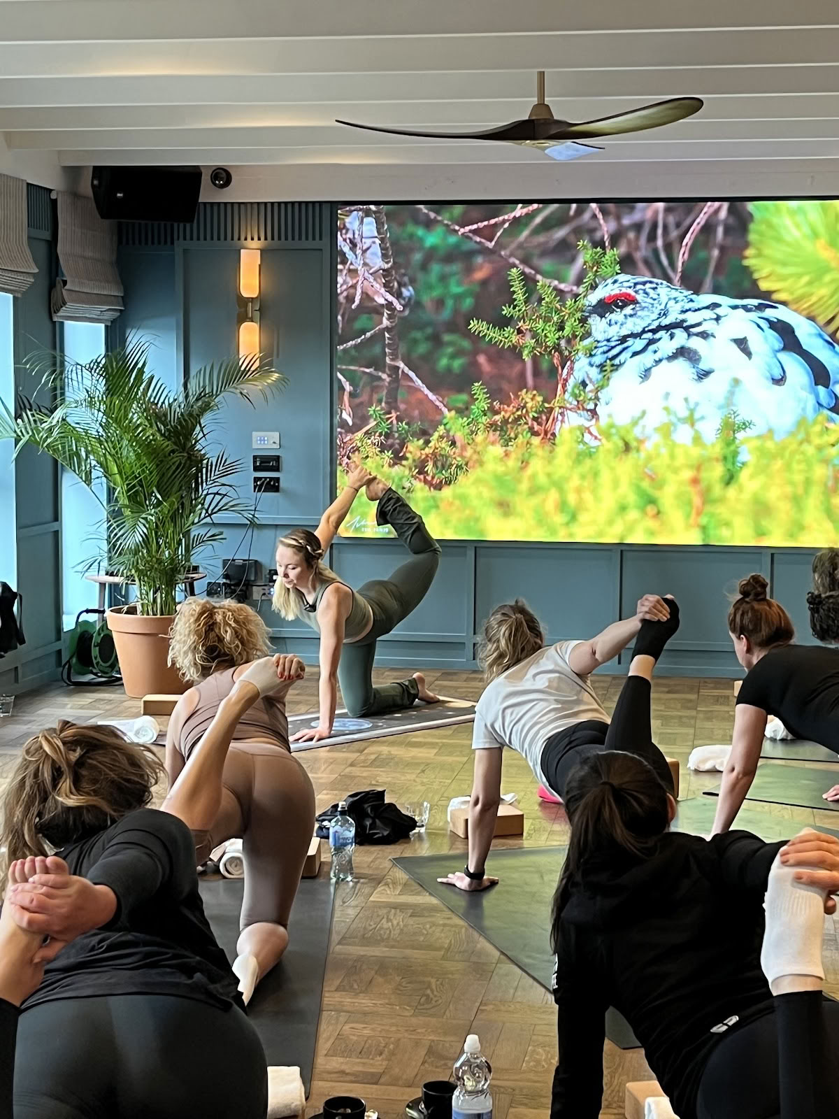 Lauren Marples Yoga
