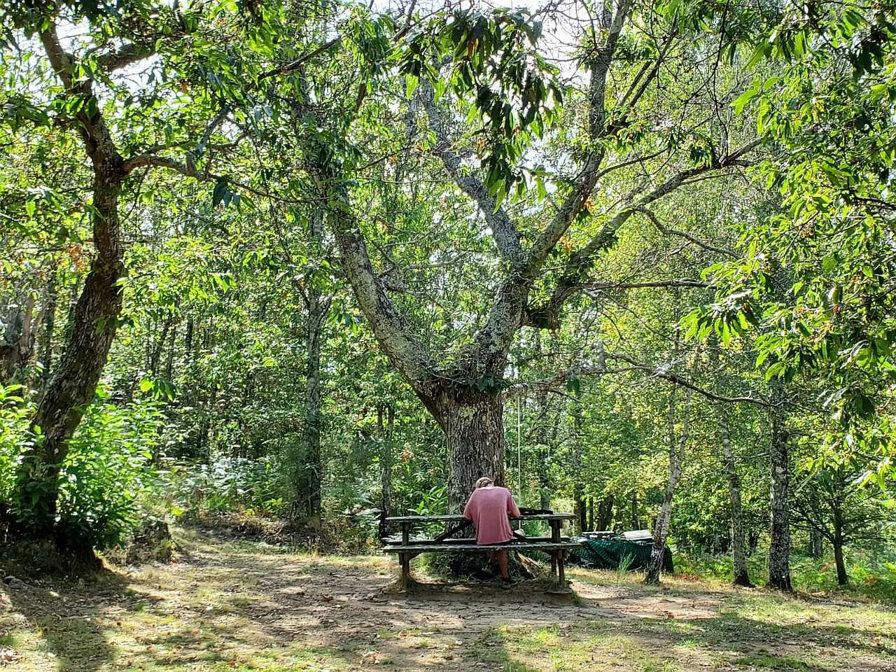 Kärlek, utveckling och uppvaknande på Mahadevi Ashram