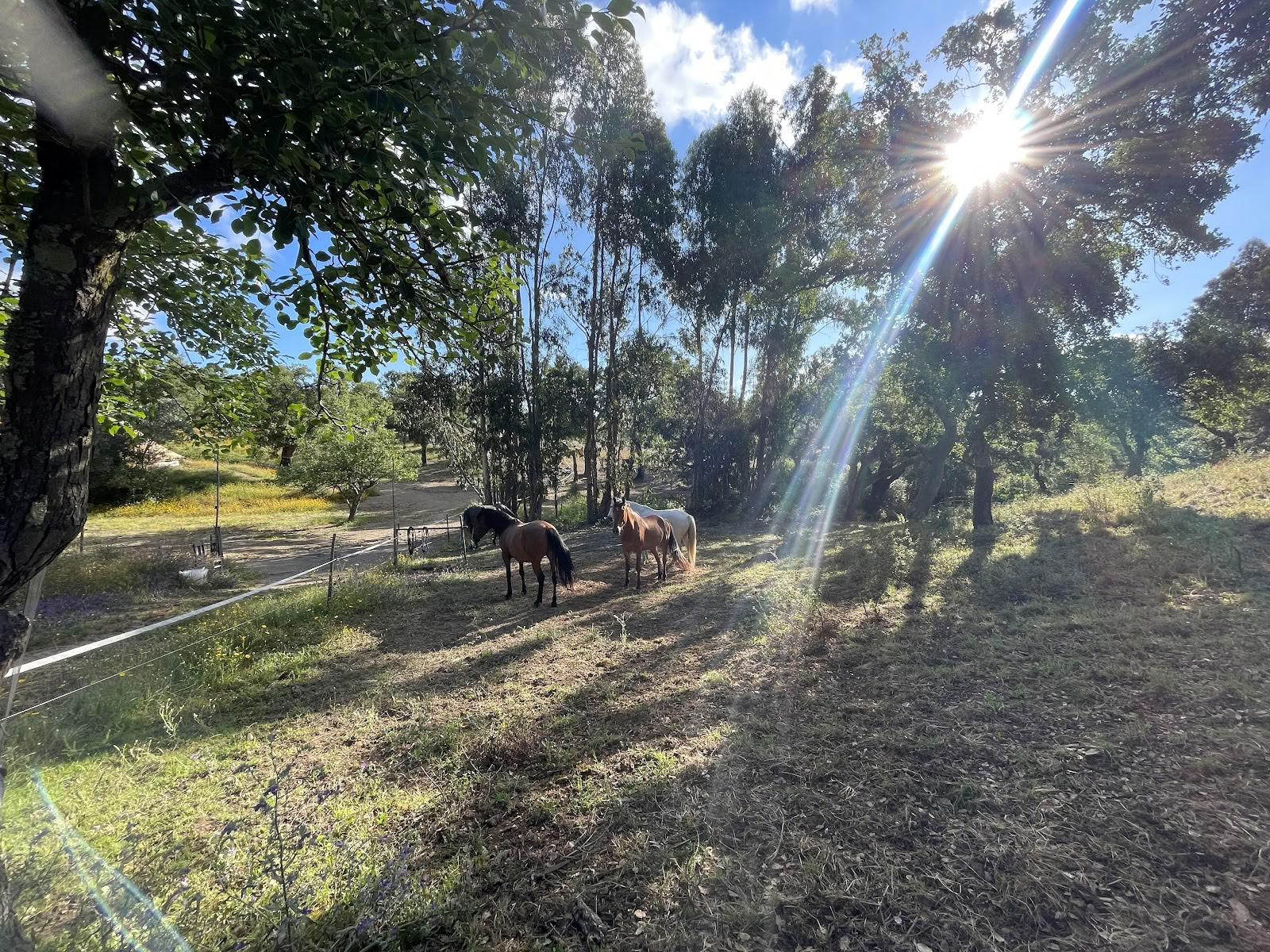 Malama.space | Yoga- och välmåenderetreat