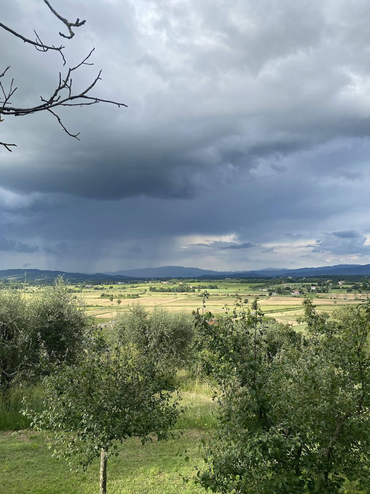 Maraviglia medvetet liv