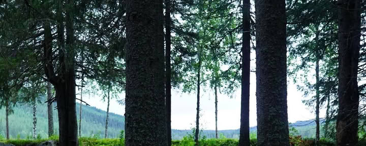 Ingen anslutning AB