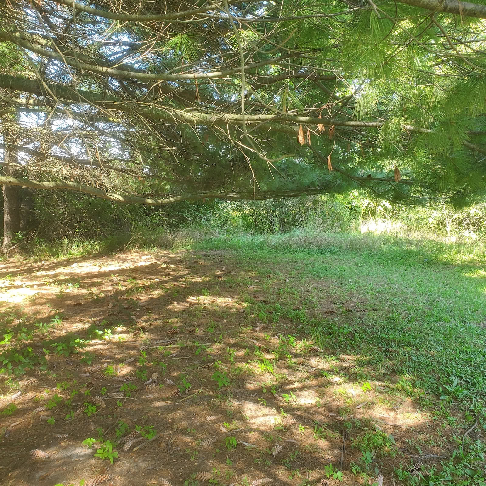 Retreatcenter Oakwood
