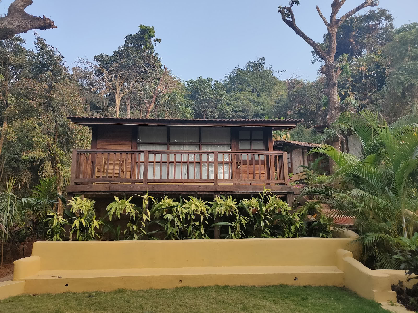 PDI Ayurveda Goa