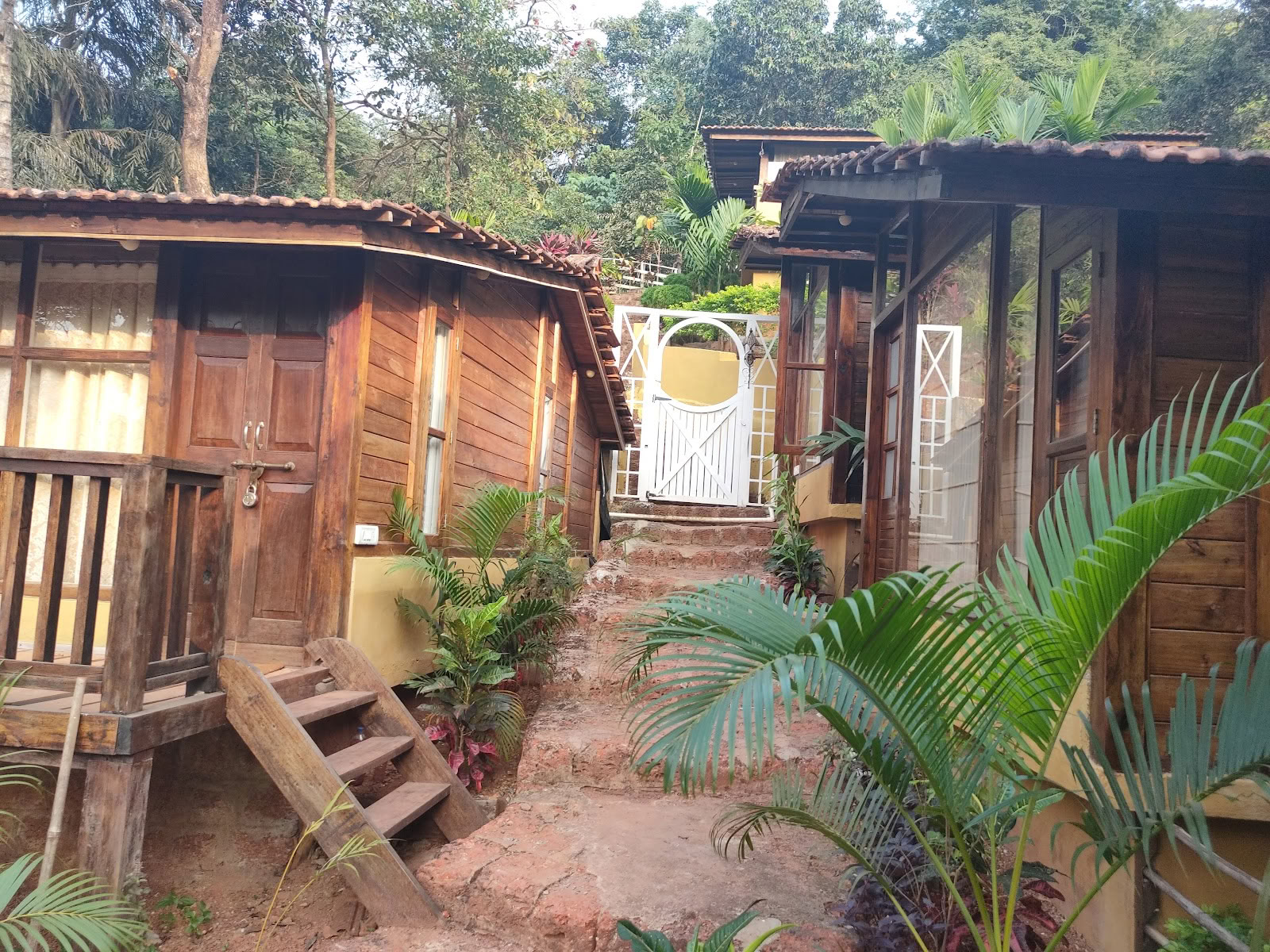 PDI Ayurveda Goa