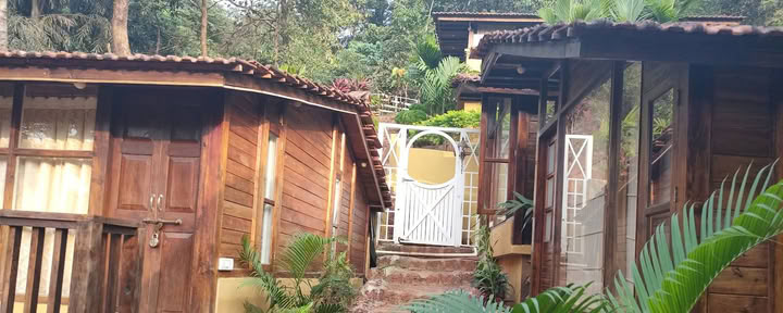 PDI Ayurveda Goa