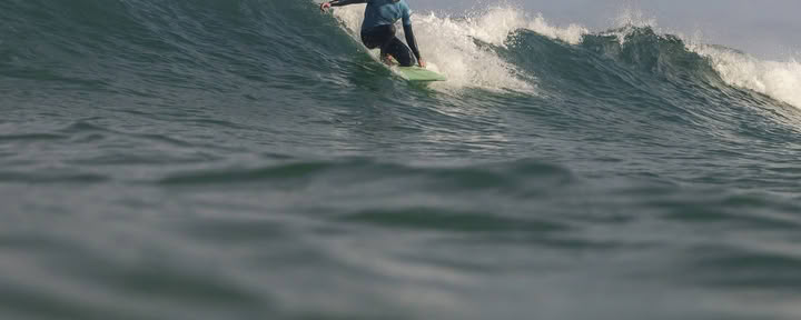 Rewild Surfskola