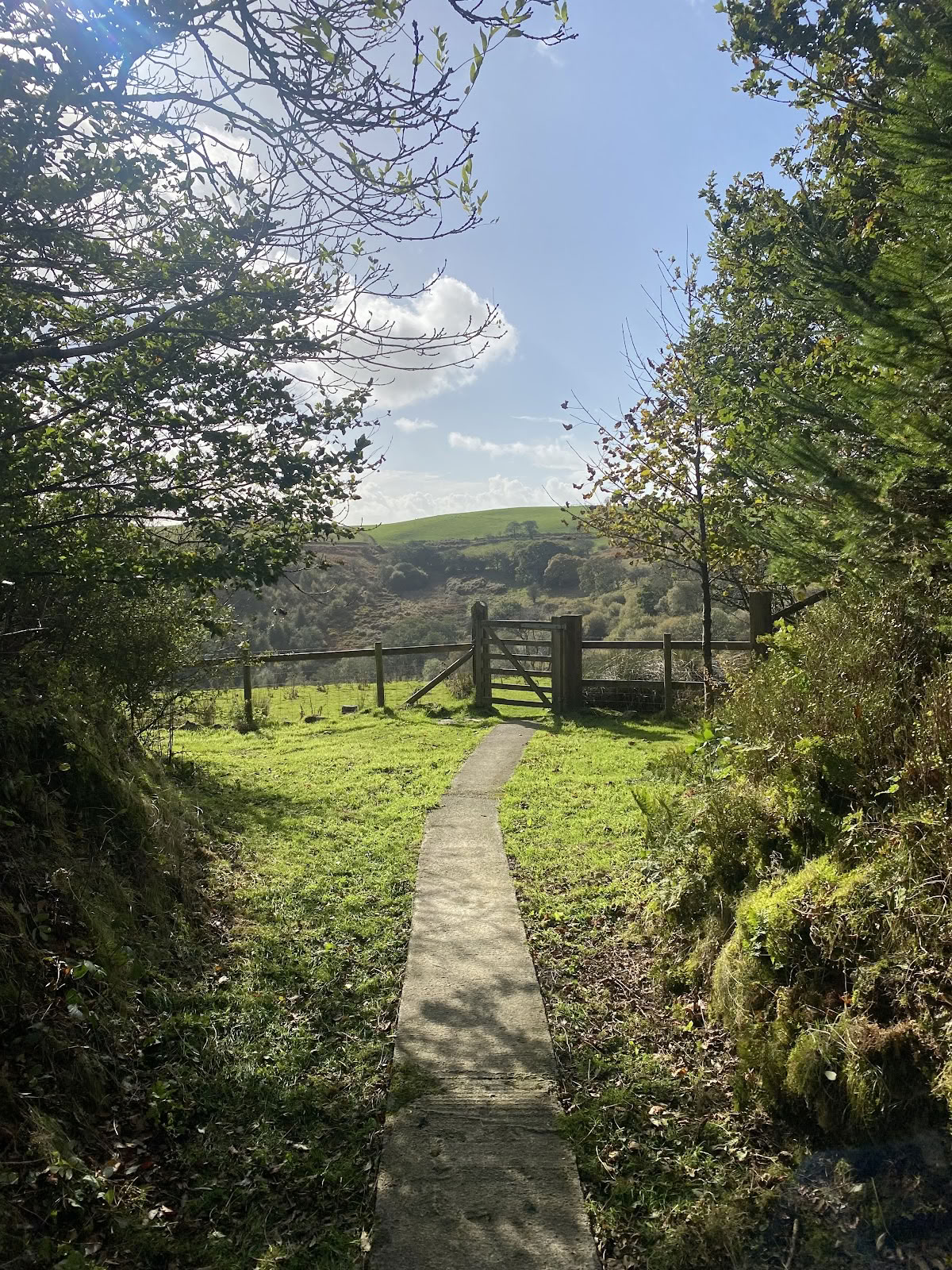 Mandala Yoga Ashram