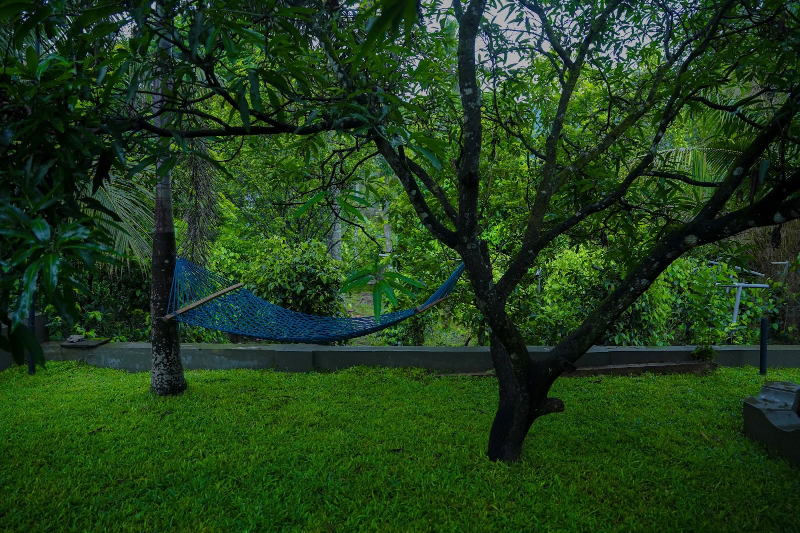 Sahachara Ayurveda Yoga Ecoliving