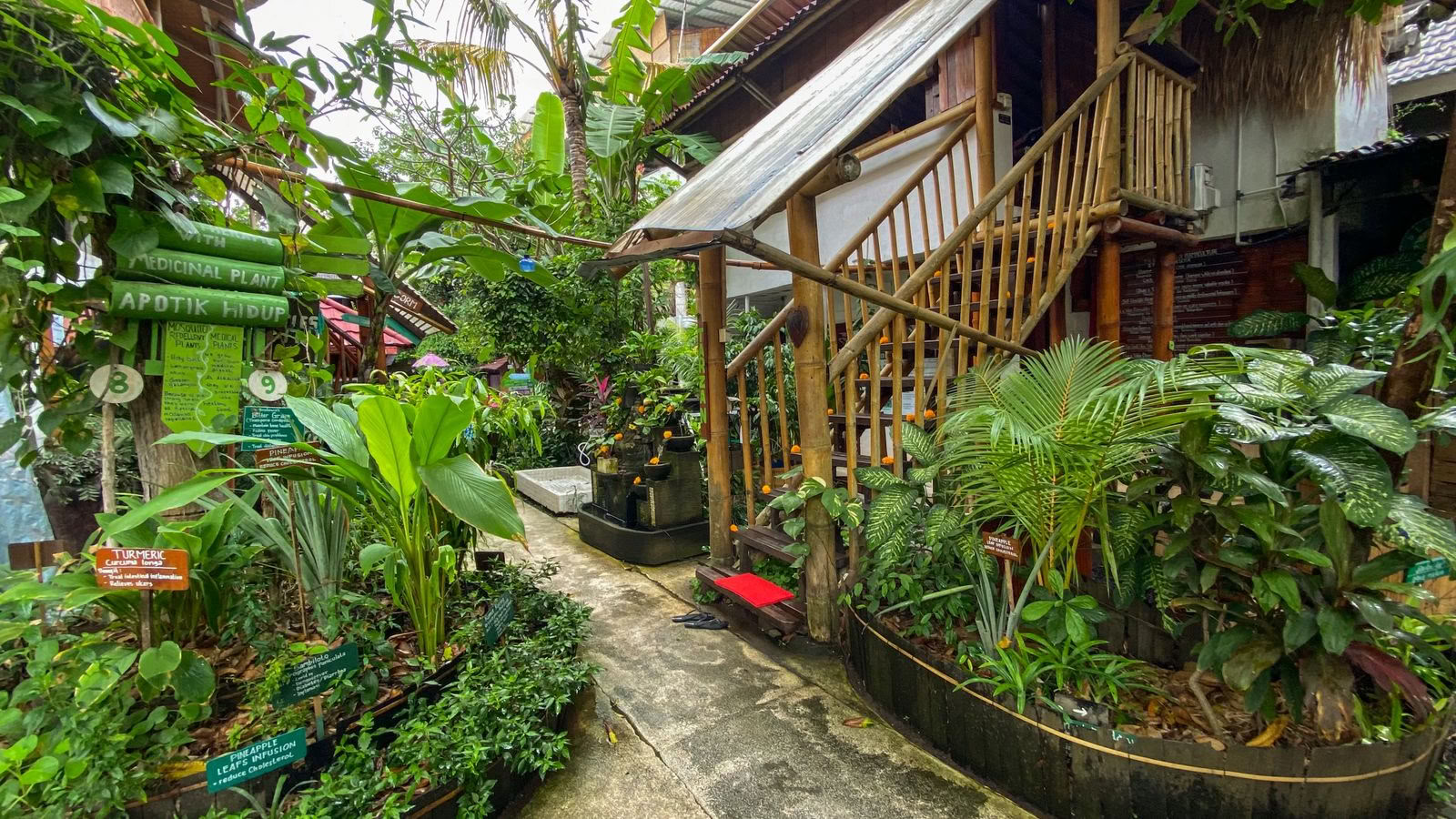 Serenity Eco Guesthouse och yoga