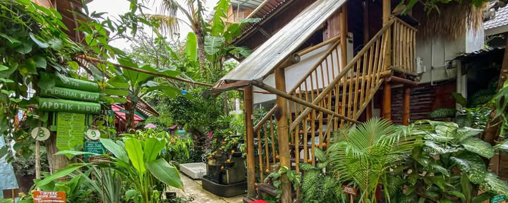 Serenity Eco Guesthouse och yoga