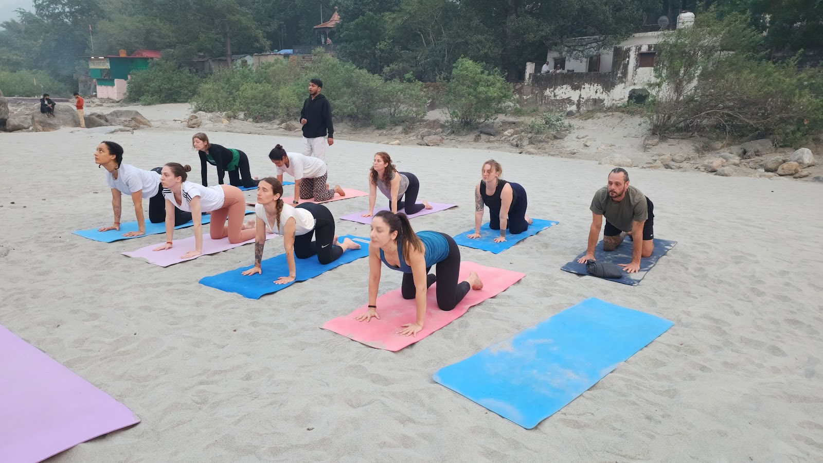 Sri Yoga Ashram | Yogalärarutbildningsleverantör i Rishikesh