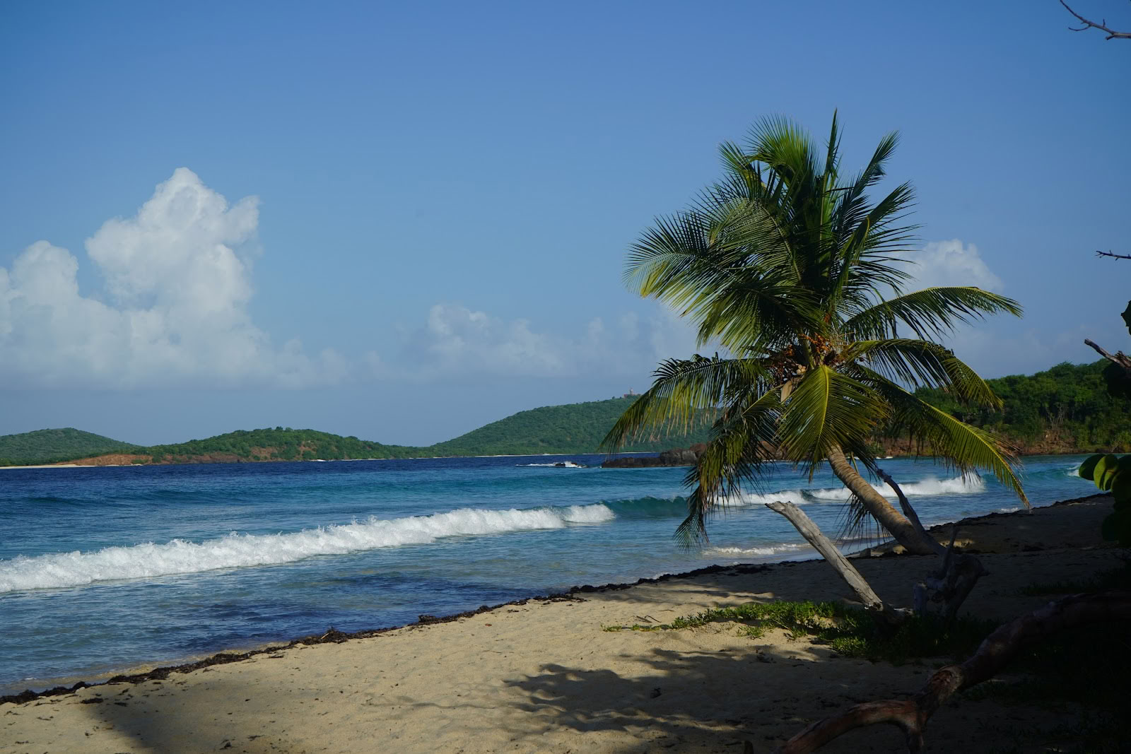 Bo på Culebra
