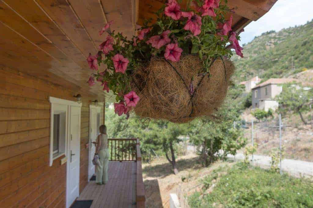 Ktima Noosfera Wellness- och Retreatcenter