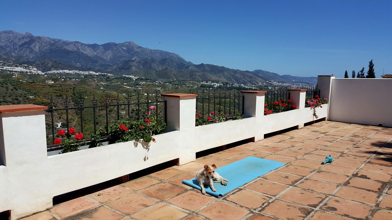 Yogaferie Paradiso. La Rejana