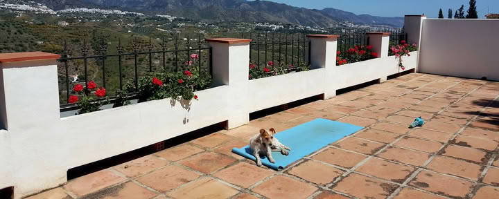 Yogaferie Paradiso. La Rejana