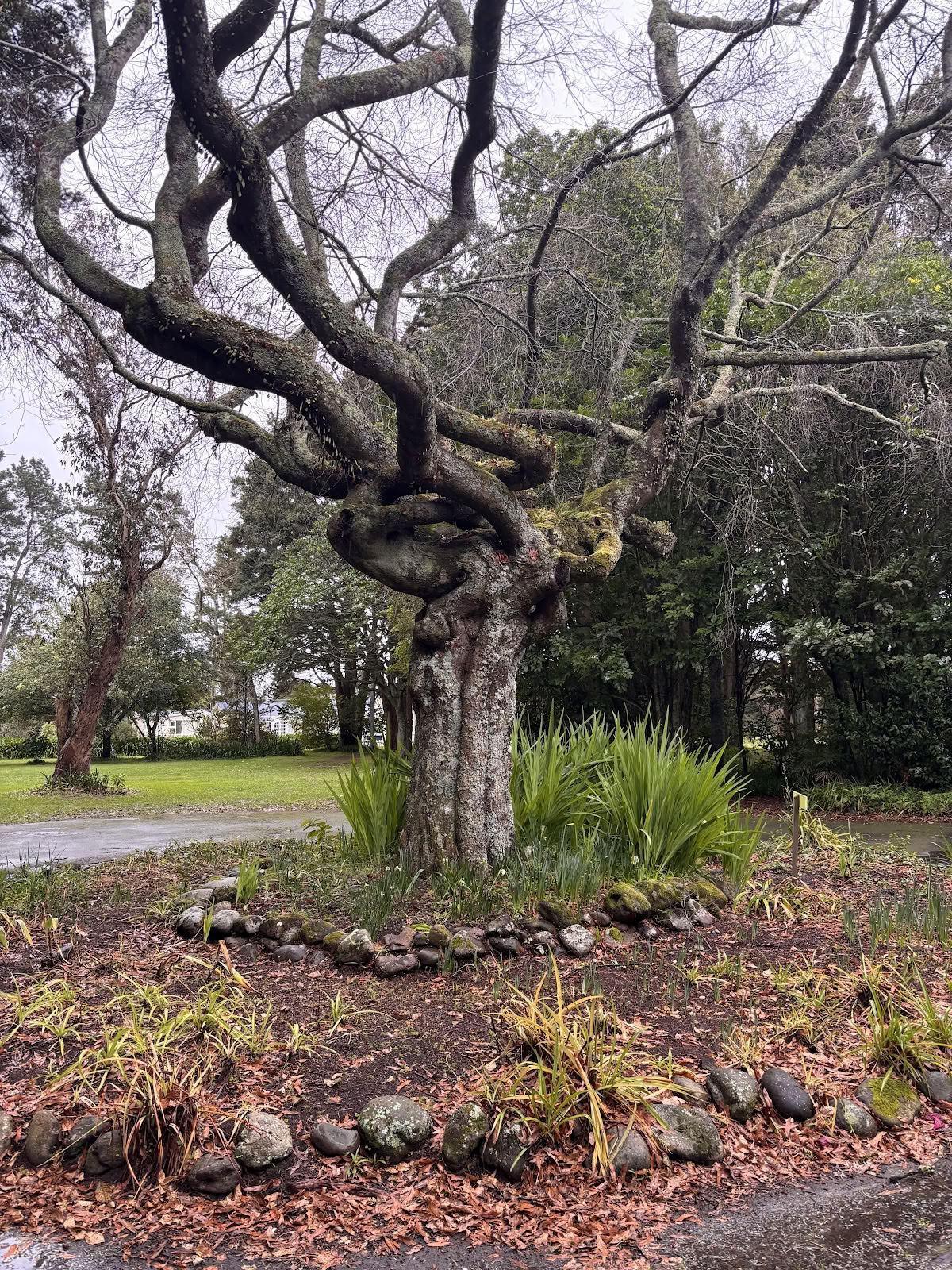 Strathean Retreatcenter